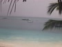 Zanzibar - Nungwi - Paplūdimys