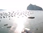 Ischia - Ischia Ponte - Aragonese Castle, La Mandra Beach