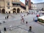 Plaza del Mercado, Bracka
