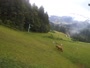 Bukovnik - Skizentrum