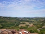 Neive - Barbaresco
