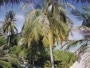 Akasdhoo - Hard Rock Hotel Maldives