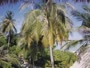 Akasdhoo - Hard Rock Hotel Maldives