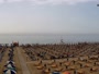 Bibione - Zenith Beach