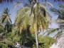 Akasdhoo - Hard Rock Hotel Maldives