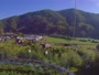 Gutach - Singersbach - Sommerrodelbahn Gutach