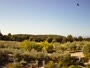 Banjole - Apartments Andrija