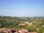 Neive - Barbaresco