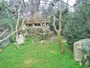 Zagrzeb - Zoo - Sępy płowe