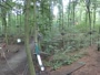 Haltern am See - Kletterwald Haltern