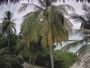 Akasdhoo - Hard Rock Hotel Maldives