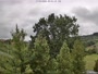 Michalczowa - Weather station