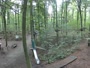 Haltern am See - Kletterwald Haltern