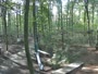 Haltern am See - Kletterwald Haltern