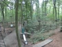 Haltern am See - Kletterwald Haltern