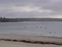 Plougonvelin - Plage du Trez-Hir