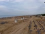 Bibione - Plaża Zenith