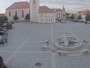 Dobřany - Náměstí, biotop