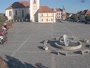 Dobřany - Náměstí, biotop