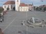 Dobřany - Náměstí, biotop