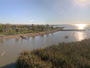 Breitenbrunn am Neusiedler See - Neuer Strand
