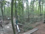 Haltern am See - Kletterwald Haltern