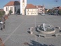 Dobřany - Náměstí, biotop