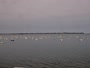 Plouézec - Port Lazo