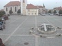 Dobřany - Náměstí, Biotop Kotynka