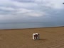 Bibione - Zenito paplūdimys