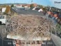 Gleisdorf - Störche