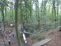 Haltern am See - Kletterwald Haltern