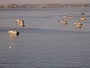 Plouézec - Port Lazo