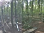 Haltern am See - Kletterwald Haltern