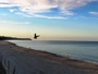 Beach with promenade
