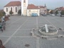 Dobřany - Náměstí, Biotop Kotynka
