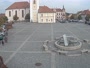 Dobřany - Náměstí, biotop