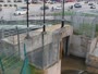 Puchong - I.O.I Puchong