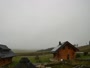 Oberharz am Brocken - Tanne