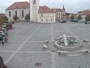 Dobřany - Náměstí, biotop