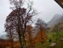Tolminske Ravne - Planina Razor - Migovec