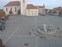Dobřany - Náměstí, biotop