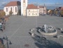Dobřany - Náměstí, Biotop Kotynka