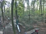 Haltern am See - Kletterwald Haltern