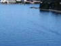 Portorož - Panorama