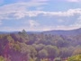 Corsica - San-Gavino-di-Carbini